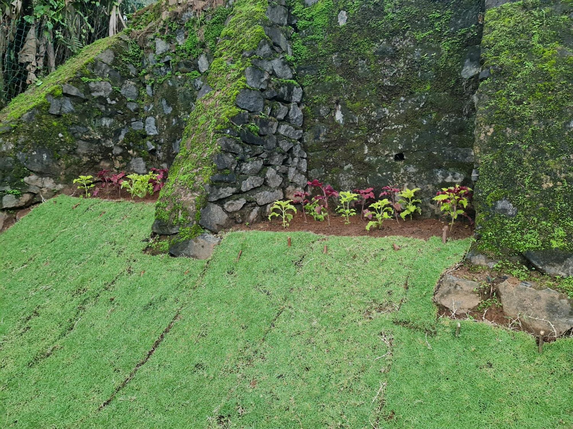 Hello Kandy Homestay Ngoại thất bức ảnh