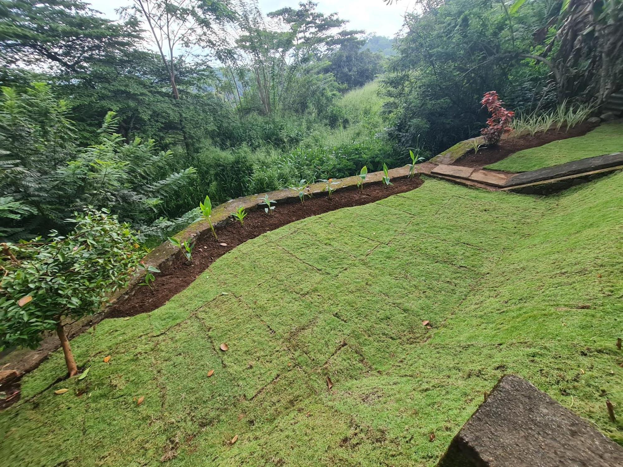 Hello Kandy Homestay Ngoại thất bức ảnh