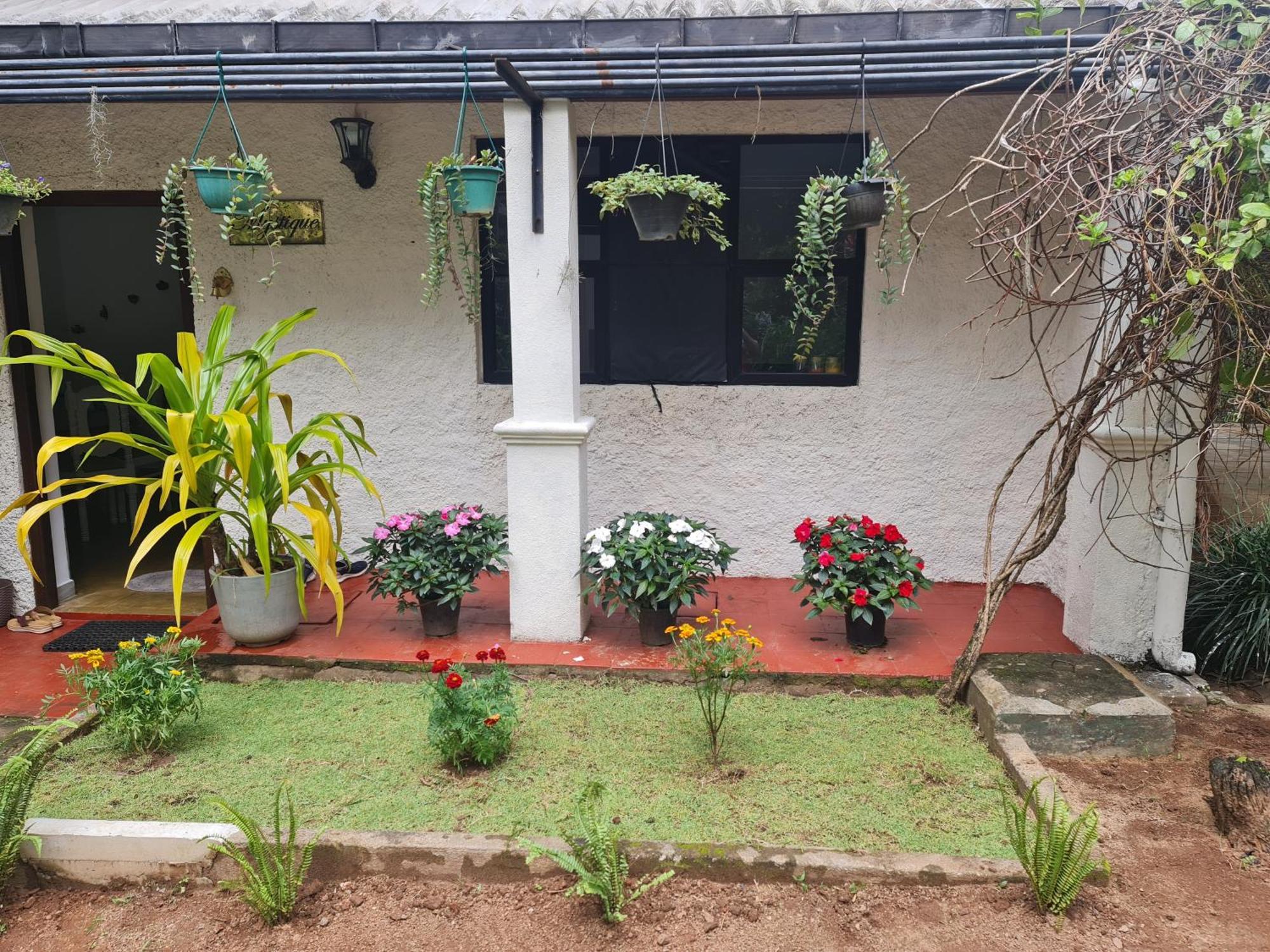 Hello Kandy Homestay Ngoại thất bức ảnh